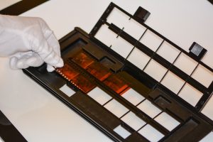 photo negative strips
